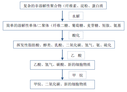 厭氧反應(yīng)流程圖-華夏經(jīng)緯市場調(diào)查公司